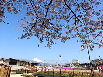 長泉町鮎壺公園2